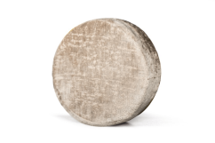 PUFFÍK | Cozy Biscuit